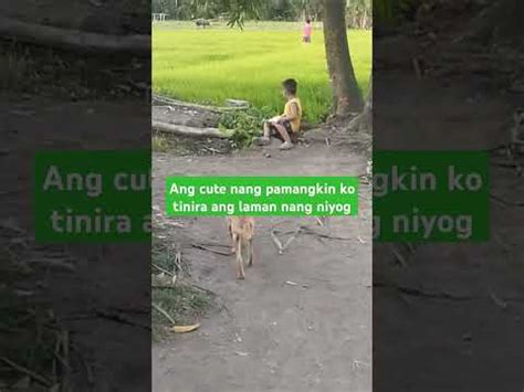 pamangkin sex|Ninong tinira ang pamangkin .